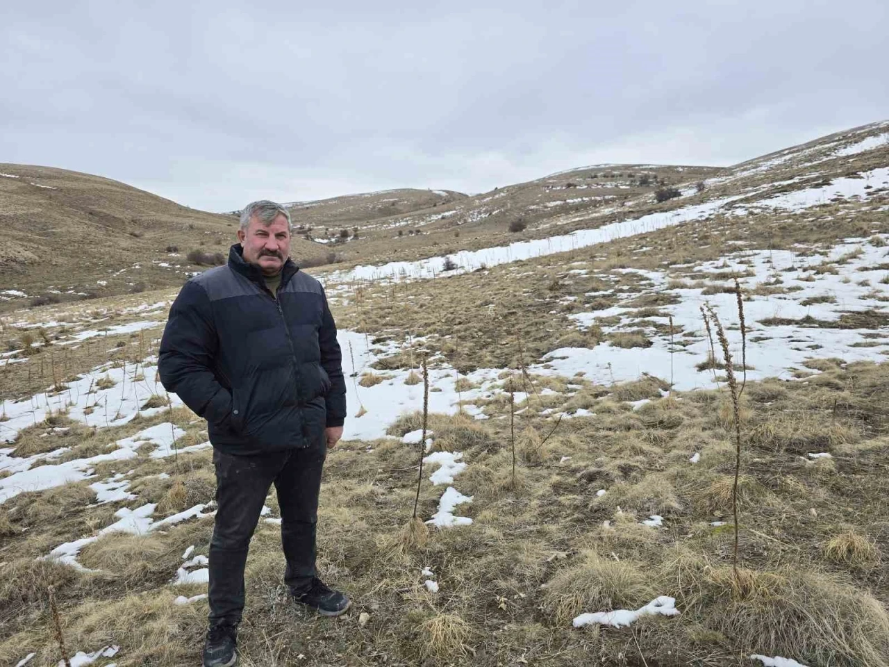 Babasıyla tartıştı, vadeli koyun alarak kendi s&uuml;r&uuml;s&uuml;ne sahip oldu
