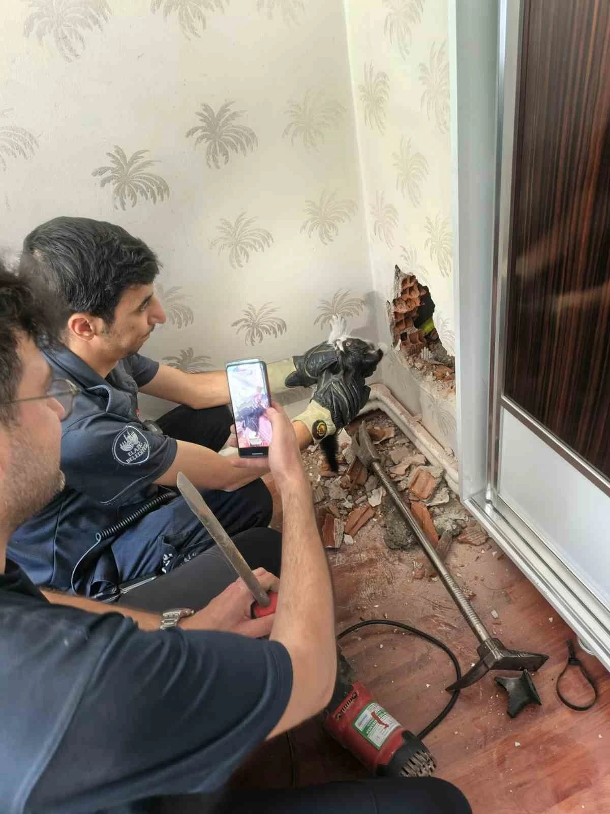 Baca boşluğunda mahsur kalan yavru kedi kurtarıldı
