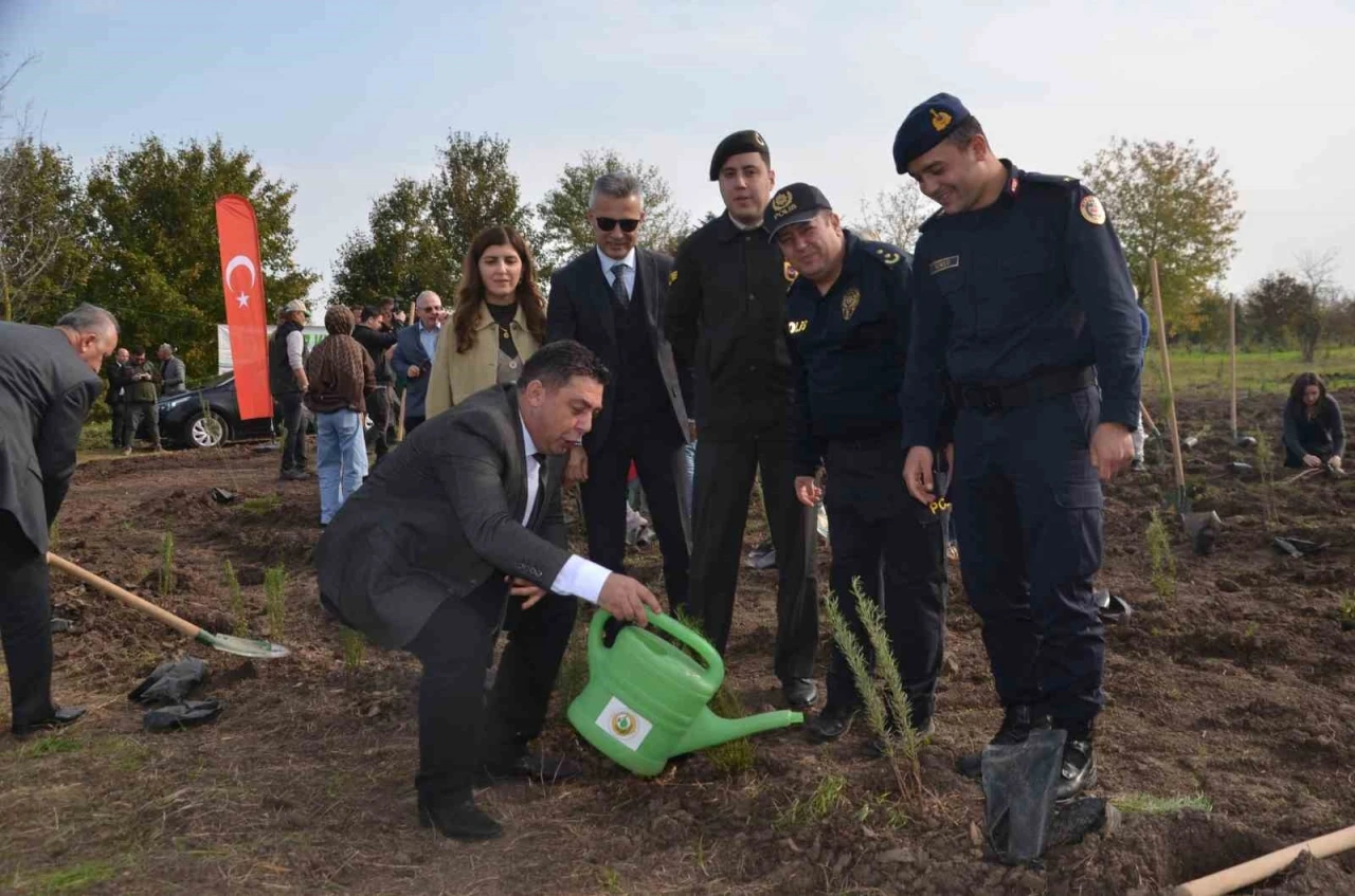 Bafra’da 8 bin fidan toprakla buluştu
