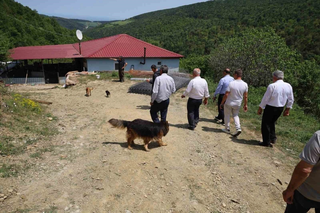 Bafra’da muhtarların tepkisini çeken izinsiz köpek barınağı mühürlenerek kapatıldı
