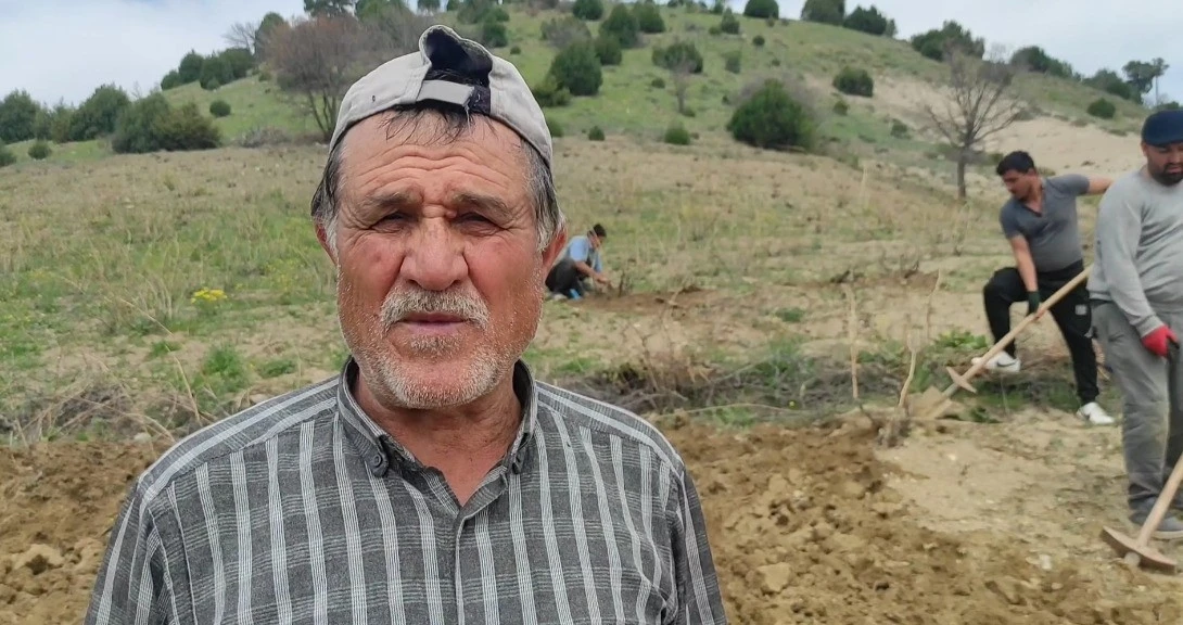 Bağlar elbirliğiyle belleniyor
