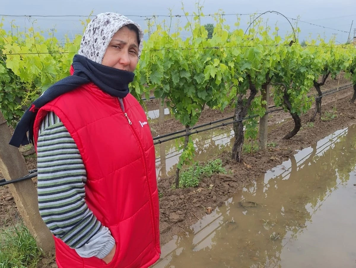 Bahar yağmurları üreticiyi sevindirdi
