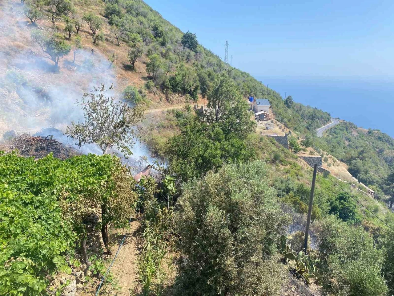 Bahçe yangını büyümeden söndürüldü
