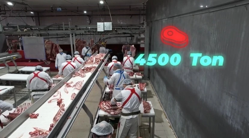 Bakan Yumaklı, &quot;4 bin 500 ton kırmızı et üretimi ile Elazığ’ın tarımsal ve ekonomik potansiyeline güçlü bir katkı sağlayacağız&quot;
