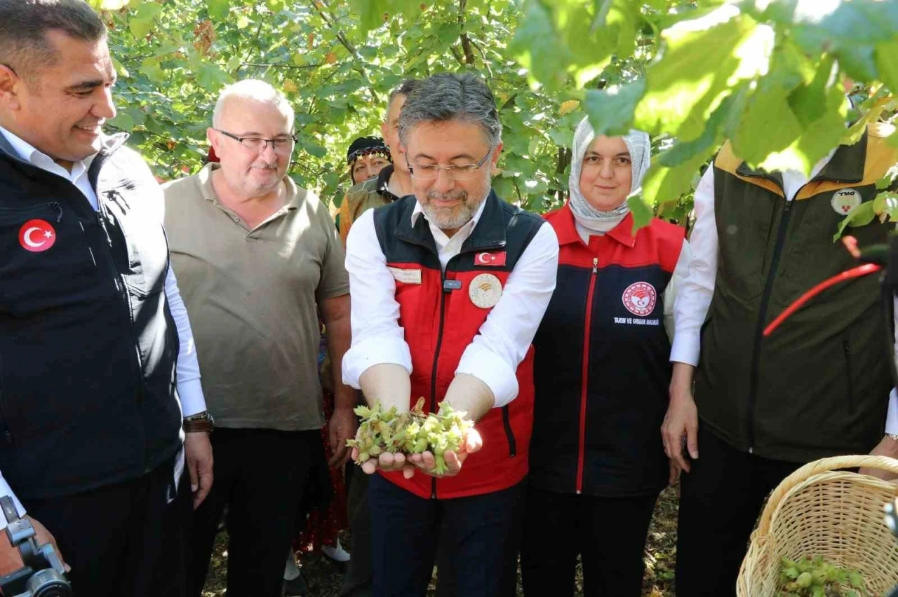 Bakan Yumaklı: &quot;Fındık stratejik bir ürün, dünyada birinciyiz&quot;
