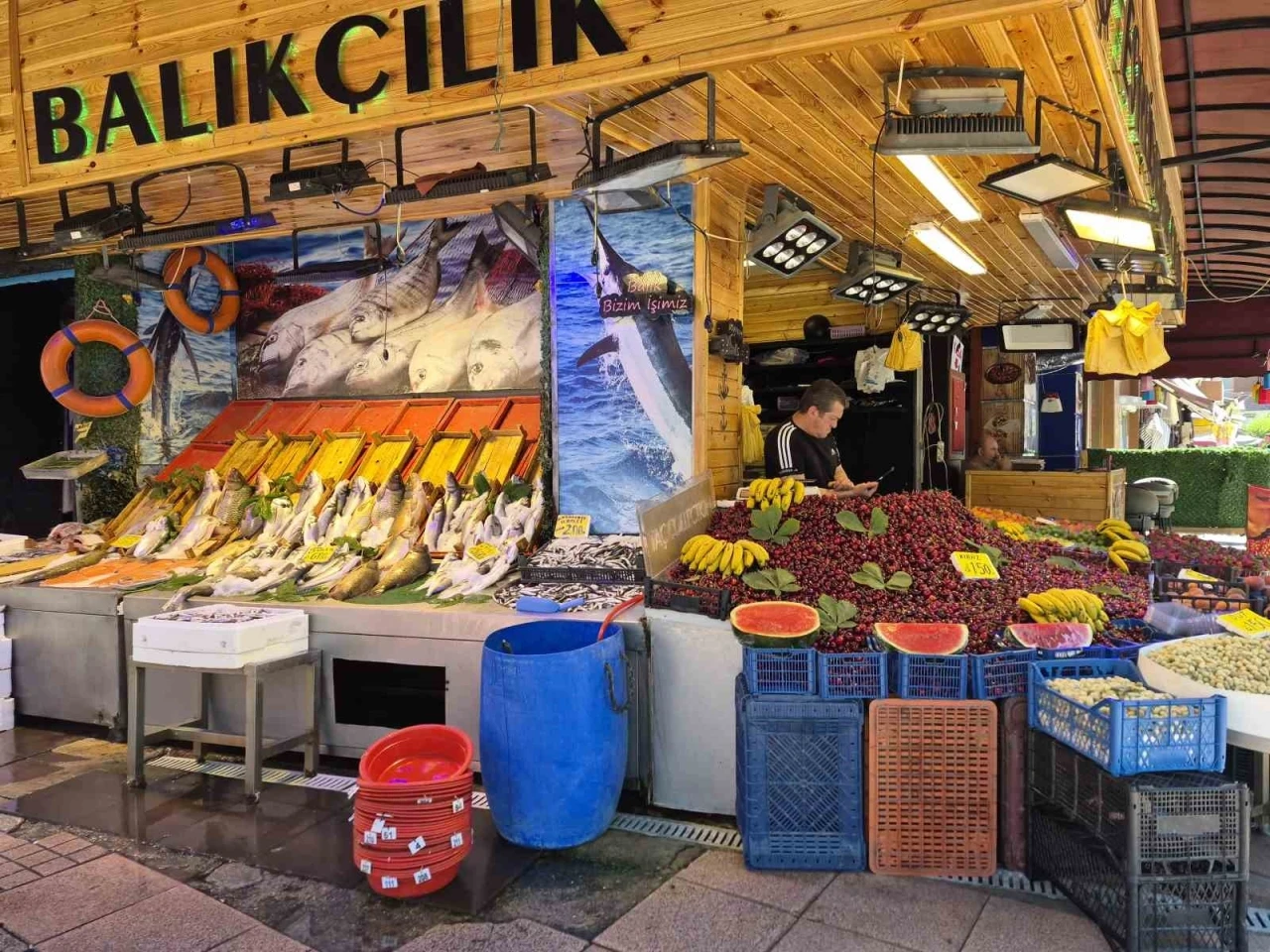 Balık tezgahları renk değiştirdi: Yarısı balık yarısı meyve
