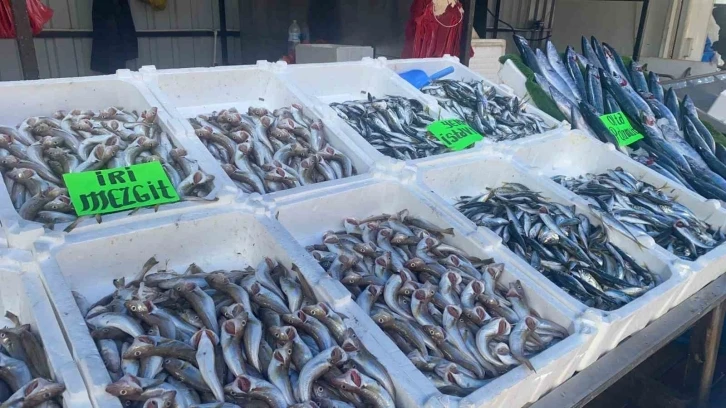 Balık&ccedil;ıların y&uuml;z&uuml; g&uuml;ld&uuml;, kasa kasa hamsi avlandı
