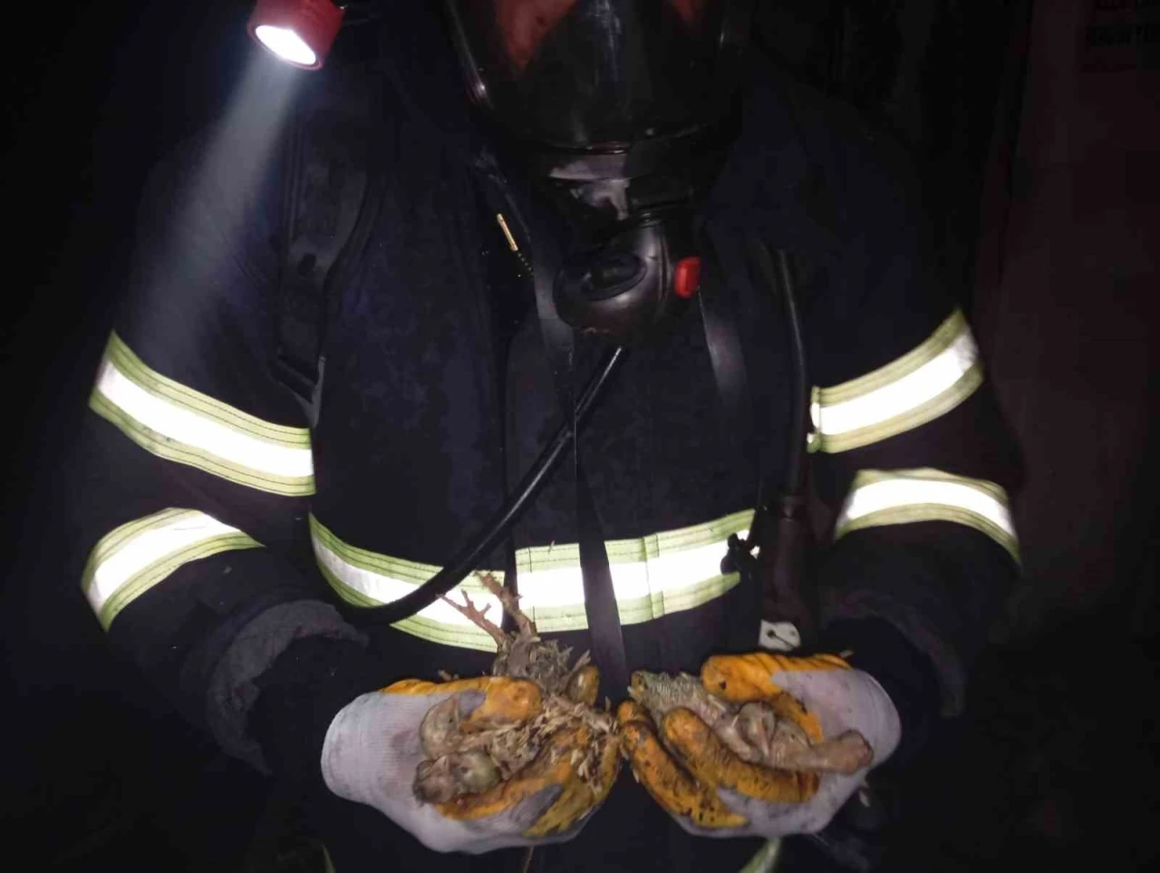 Balıkesir’de 5 bin piliç yangında telef oldu
