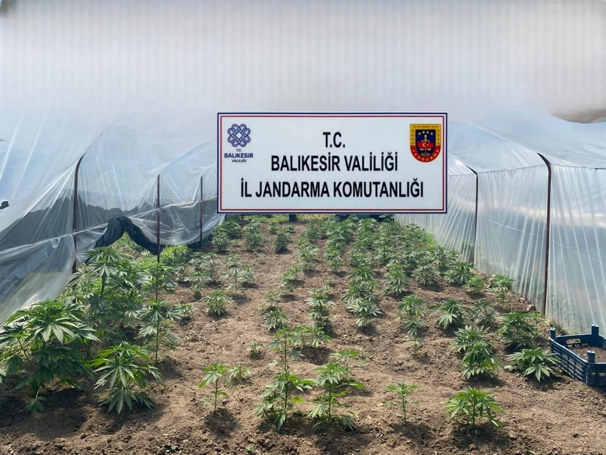 Balıkesir’de jandarmadan organize suçlara karşı geniş çaplı operasyon
