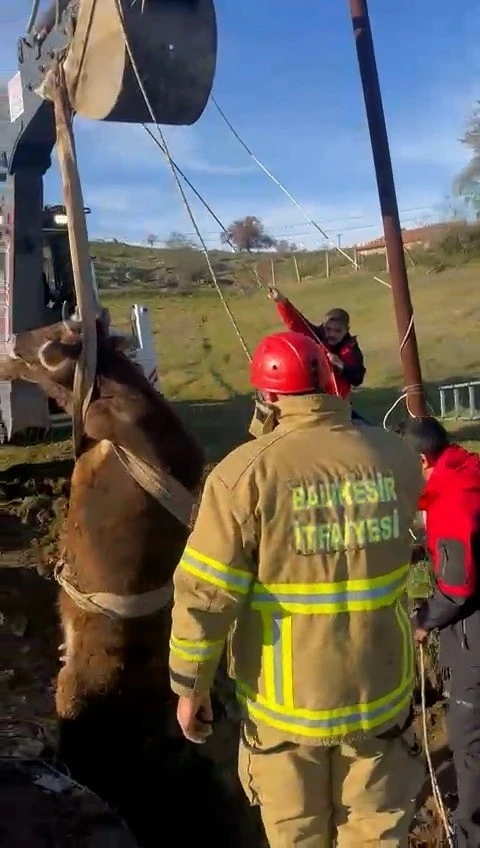 Balıkesir&rsquo;de kuyuya d&uuml;şen inek kurtarıldı
