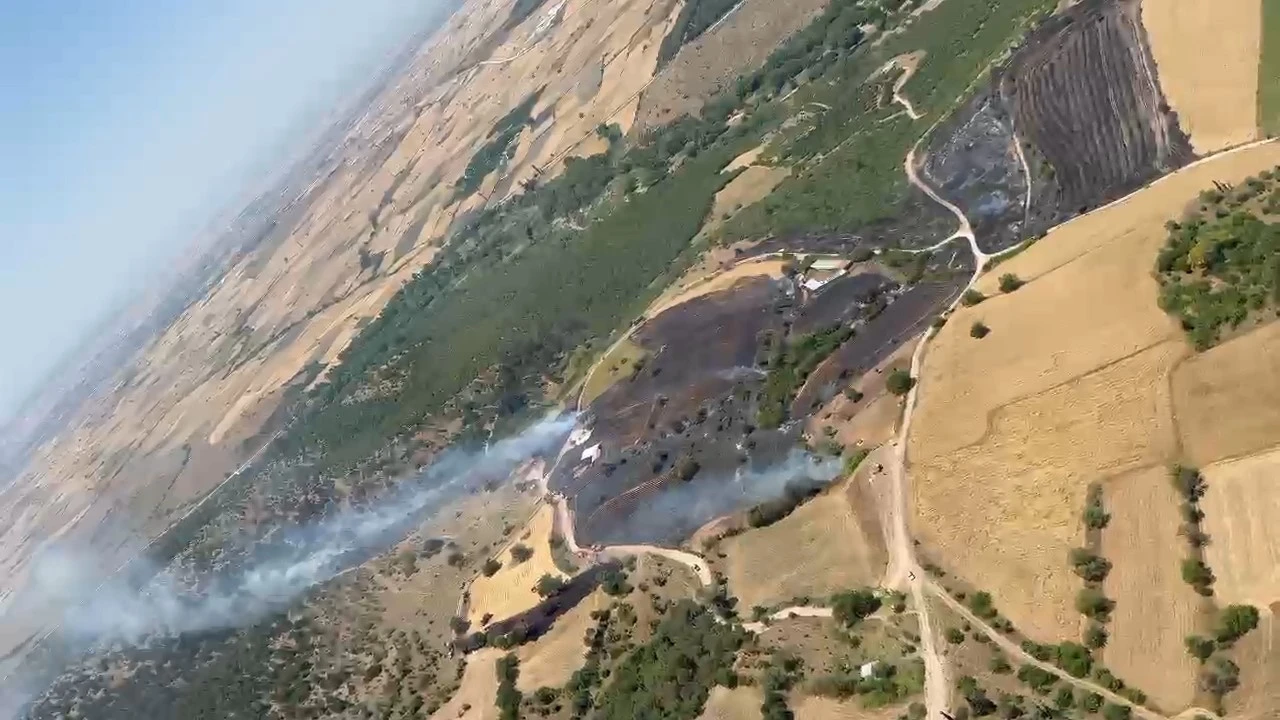 Balıkesir’de orman yangını
