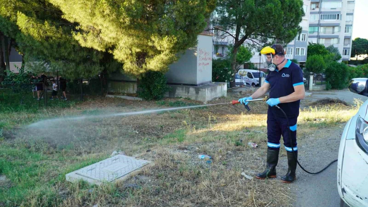 Balıkesir&rsquo;de vekt&ouml;rle m&uuml;cadelede tam zamanlı mesai
