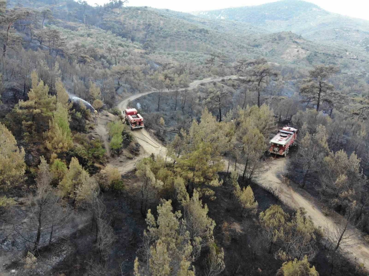 Balıkesir Havran’daki yangında havadan müdahale sabahın ilk ışıklarıyla tekrar başladı
