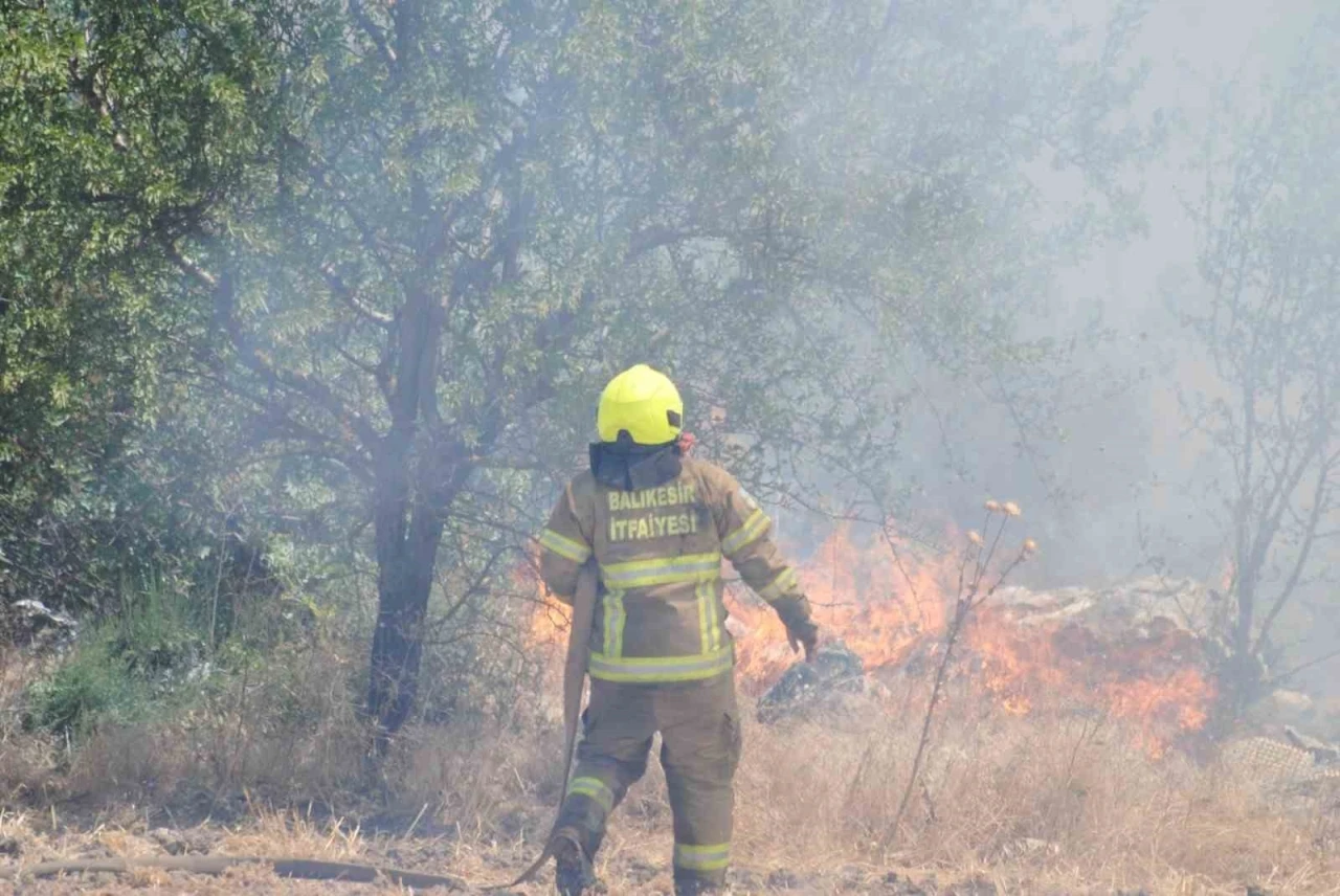 Balıkesir İtfaiyesi 12 günde 971 yangına müdahale etti
