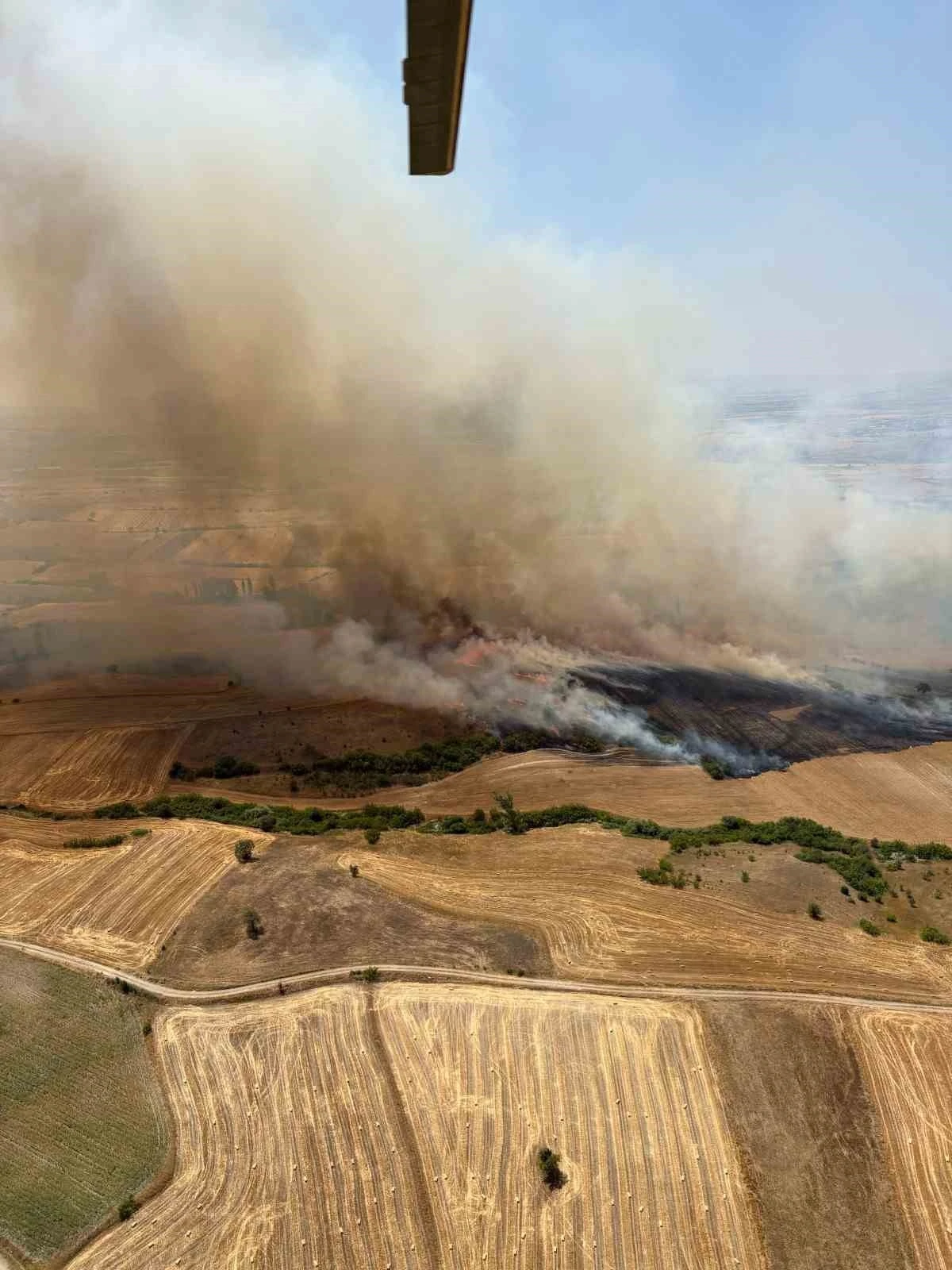 Balıkesir Kepsut’ta arazi yangını
