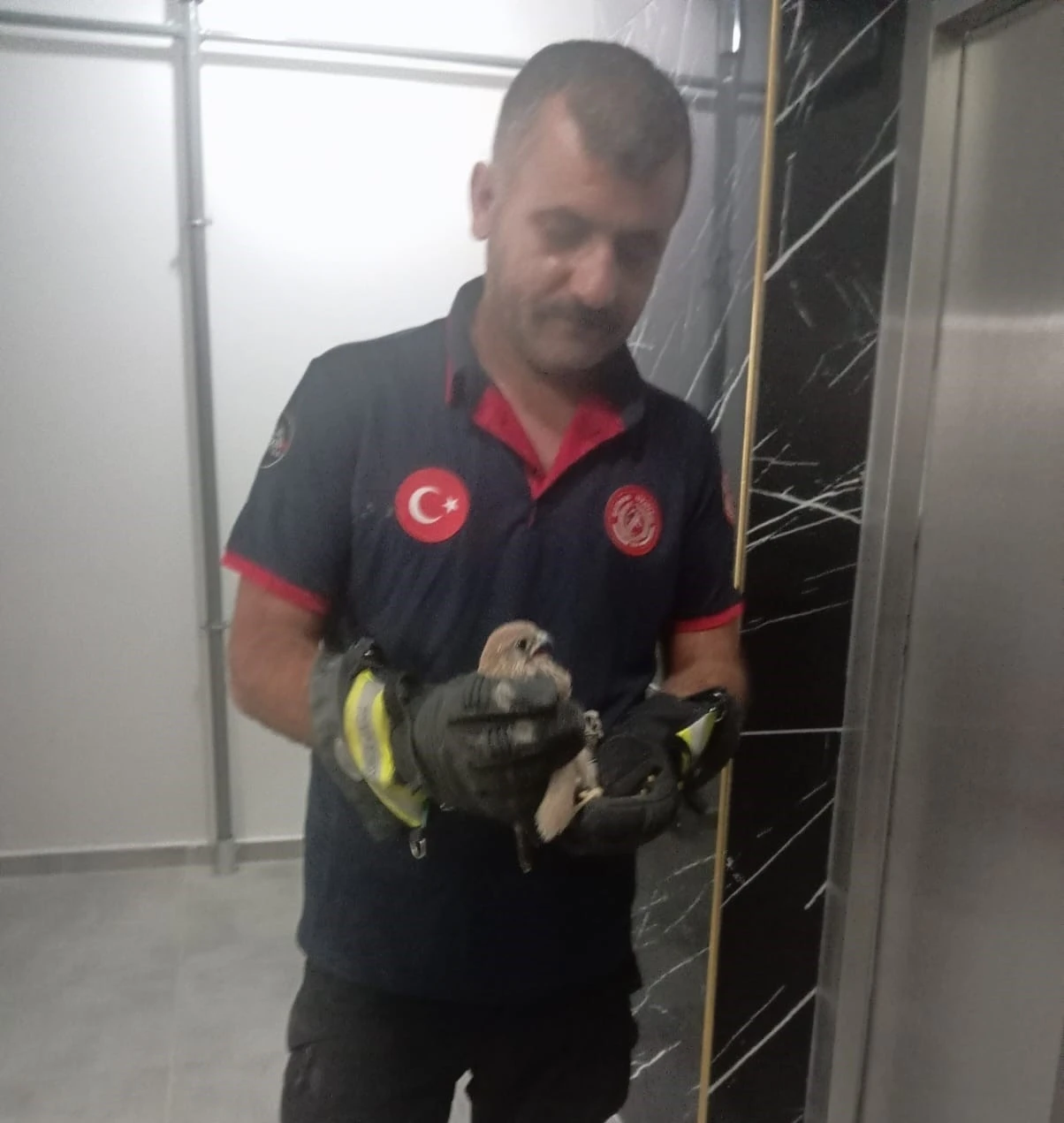 Balkon korkuluğuna sıkışan atmaca itfaiye ekiplerince kurtarıldı
