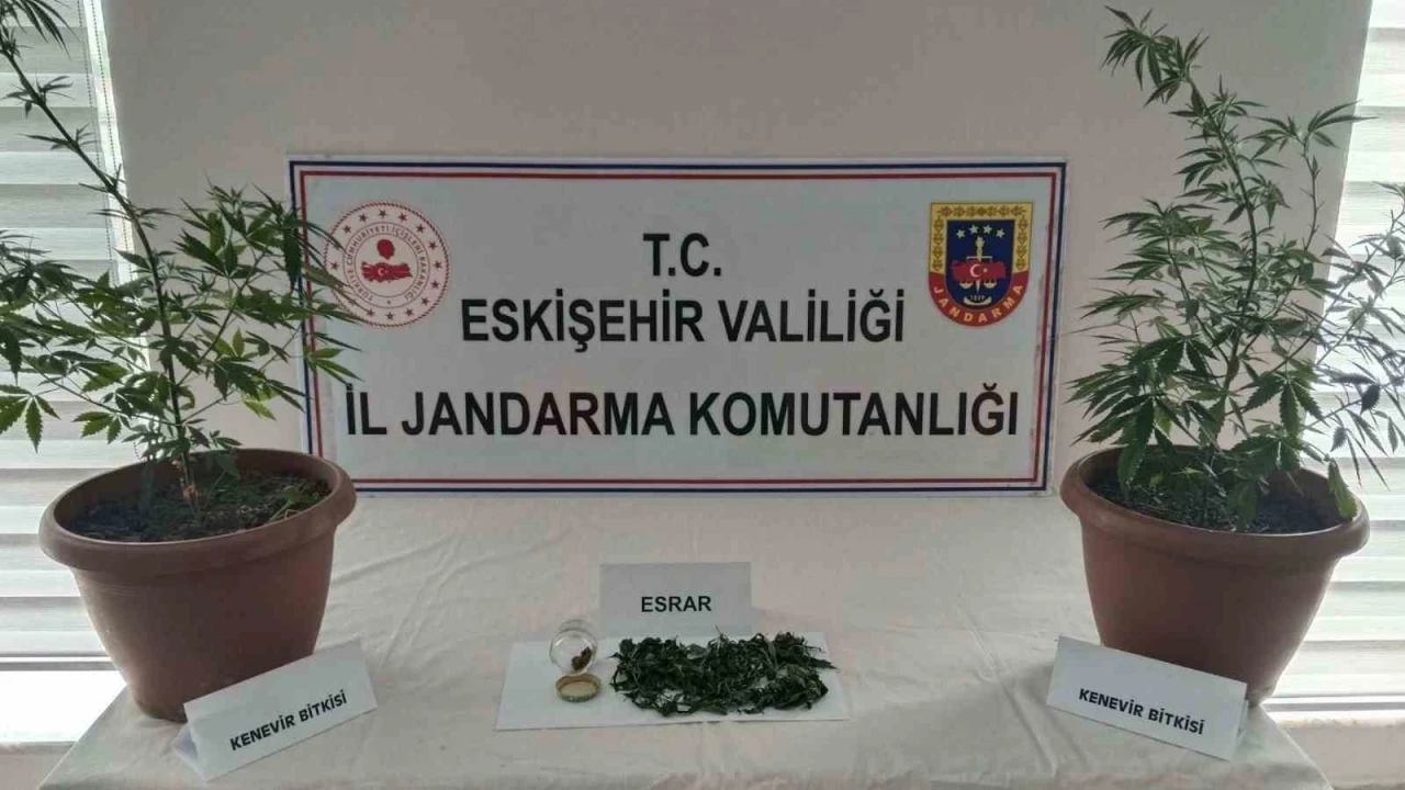 Balkondaki saksıların içinde 2 kök kenevir ve 47 gram esrar maddesi ele geçirildi