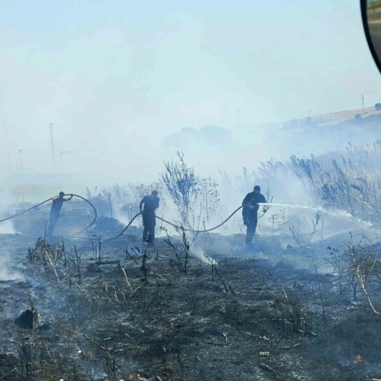 Bandırma-Bursa karayolunda arazi yangını kontrol altına alındı
