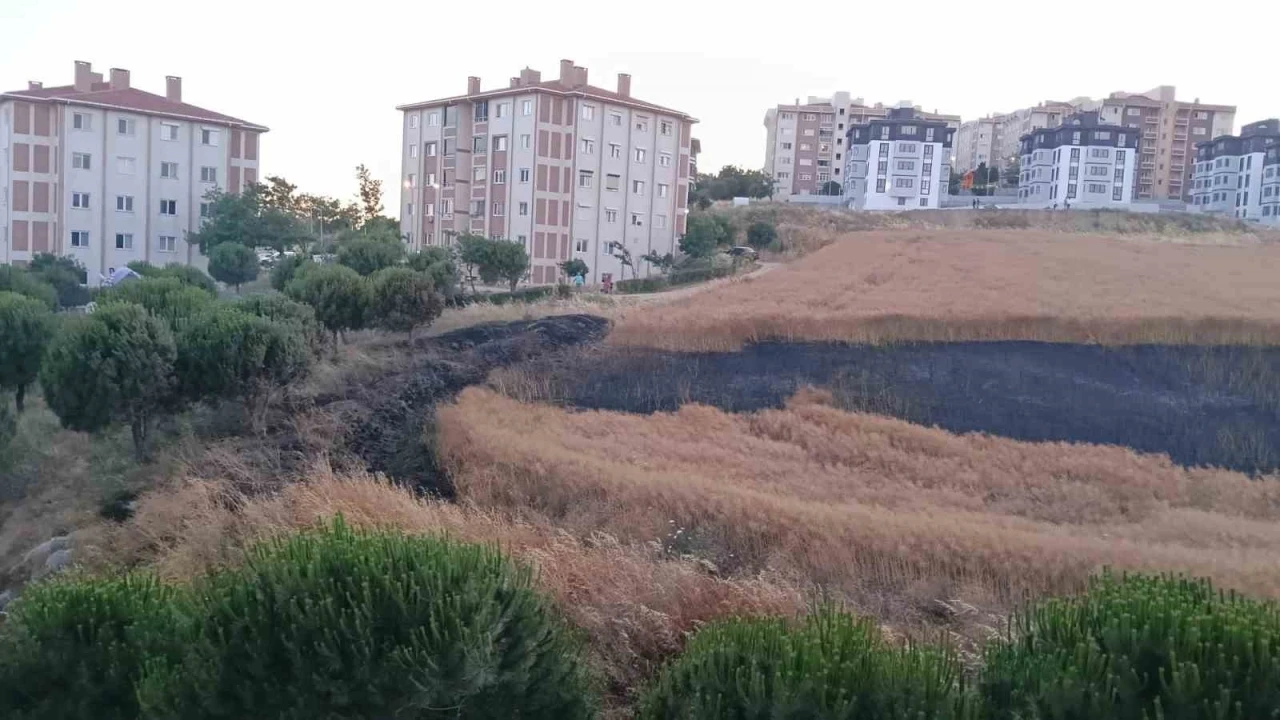 Bandırma&rsquo;da buğday tarlası yangını korkuttu
