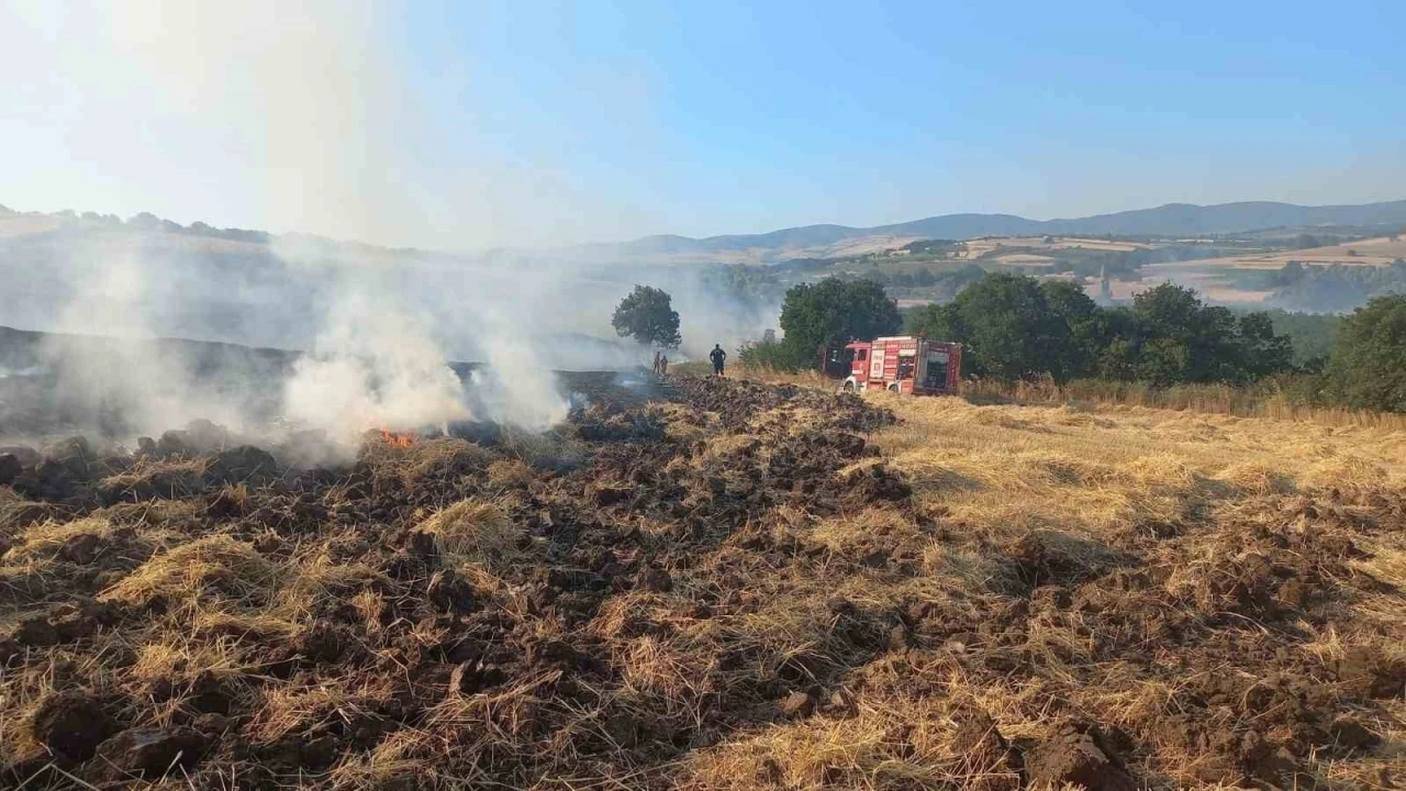 Bandırma&rsquo;da buğday tarlasında &ccedil;ıkan yangın ekiplerin m&uuml;dahalesiyle s&ouml;nd&uuml;r&uuml;ld&uuml;
