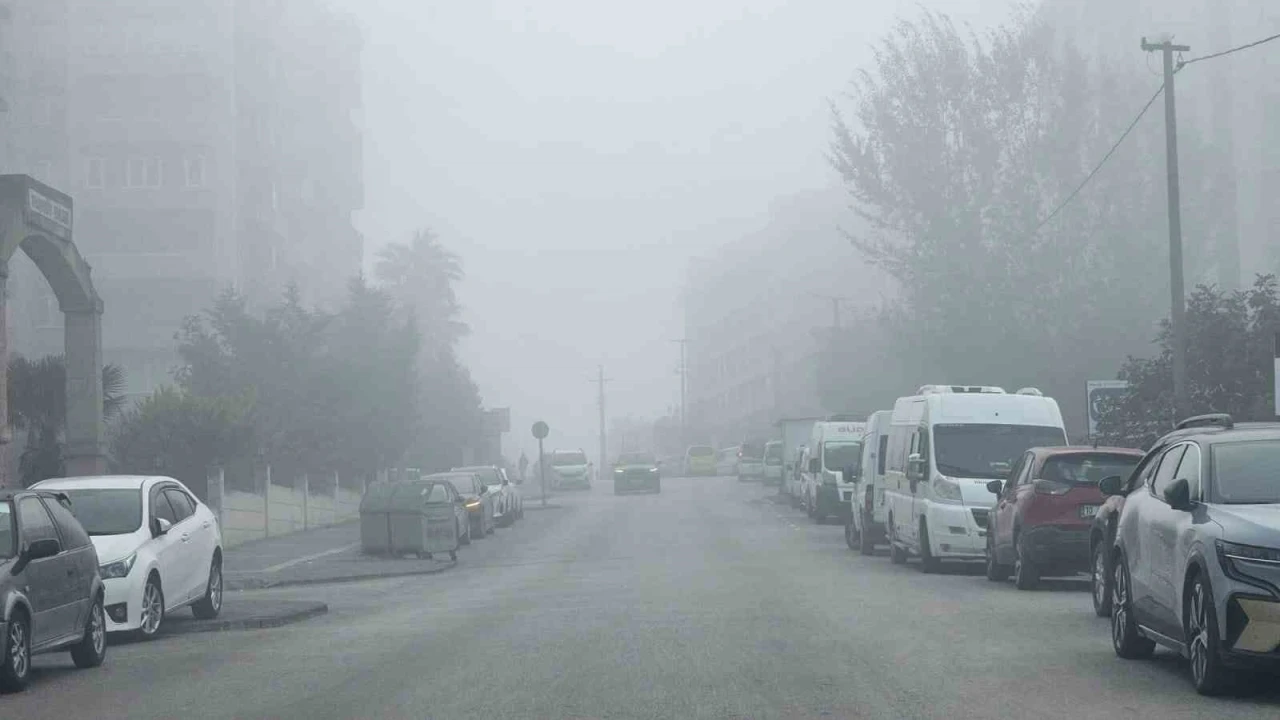 Bandırma’da yoğun sis
