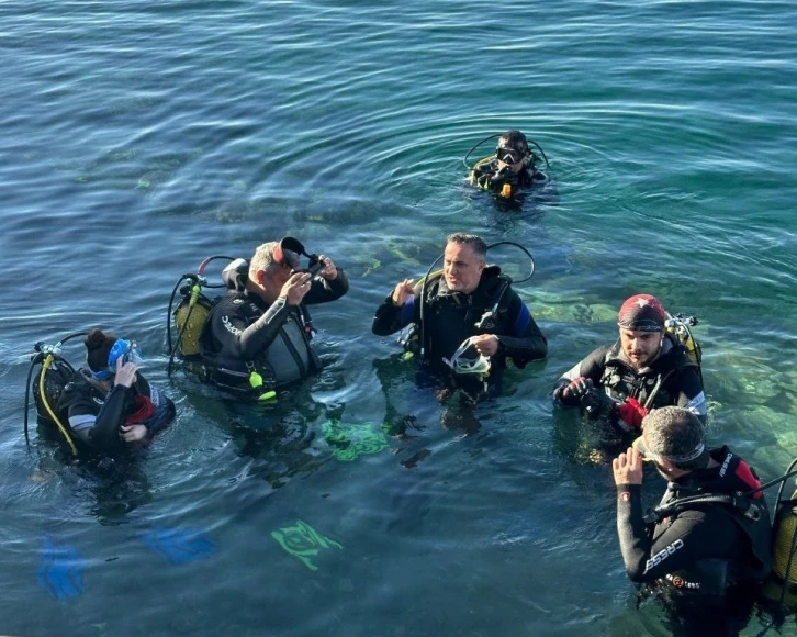 Bandırma k&ouml;rfezini Pinalar kurtaracak
