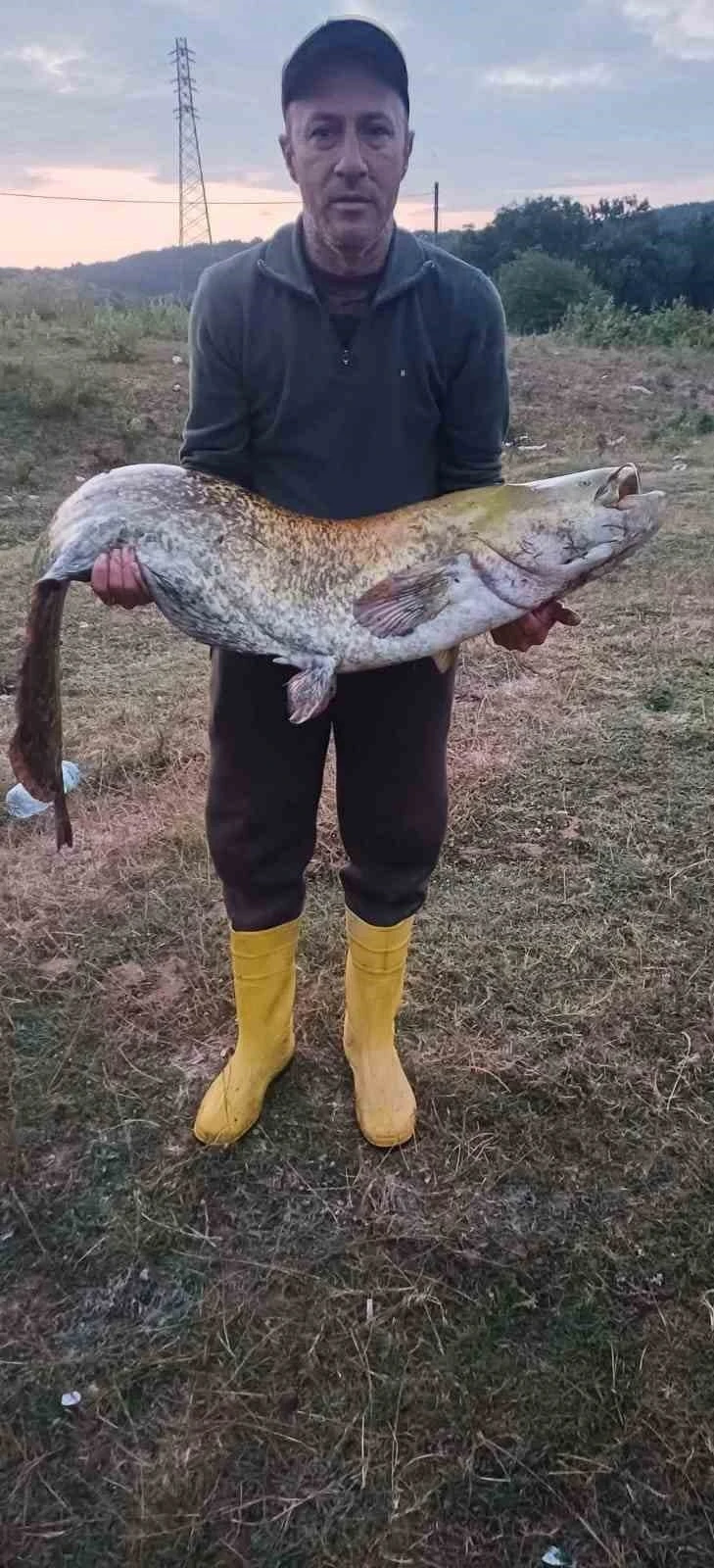 Barajın devi oltaya takıldı: 35 kiloluk yayın balığı yakaladı
