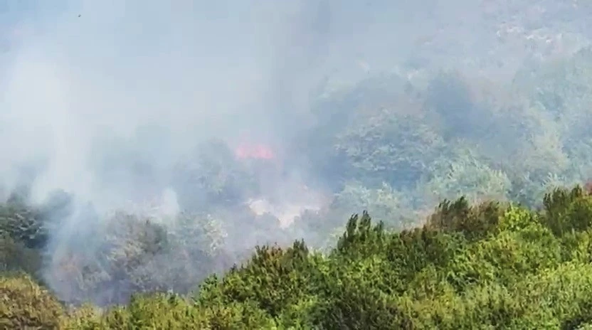 Bartın’da orman yangını çıktı
