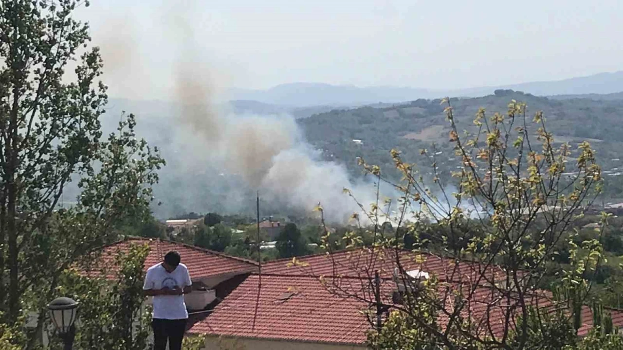 Bartın’da peş peşe yangınlar çıktı
