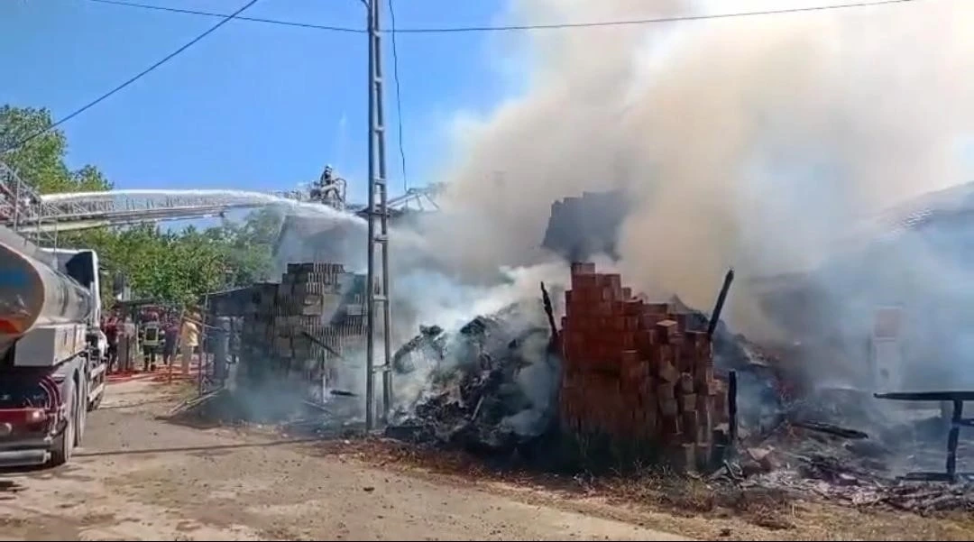 Bartın&rsquo;da yangında bir ev ve ahır k&uuml;l oldu
