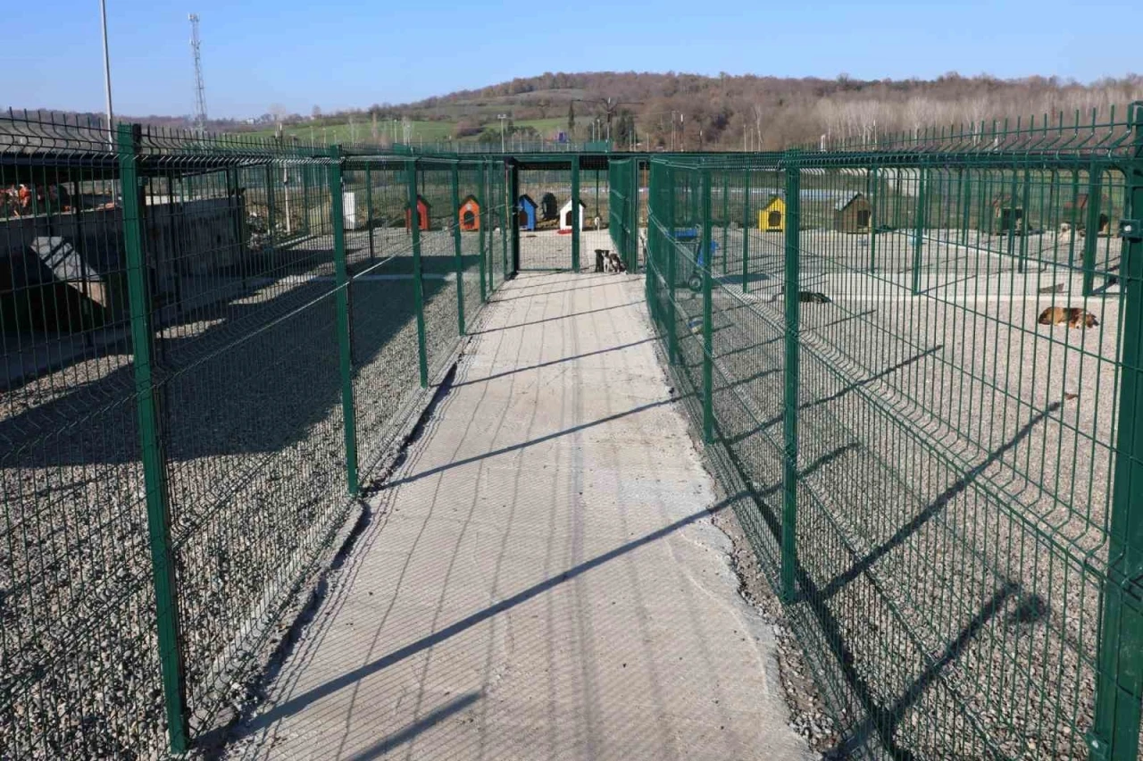 BAR&Uuml;&rsquo;de kamp&uuml;steki hayvanlar i&ccedil;in yaşam merkezi oluşturuldu
