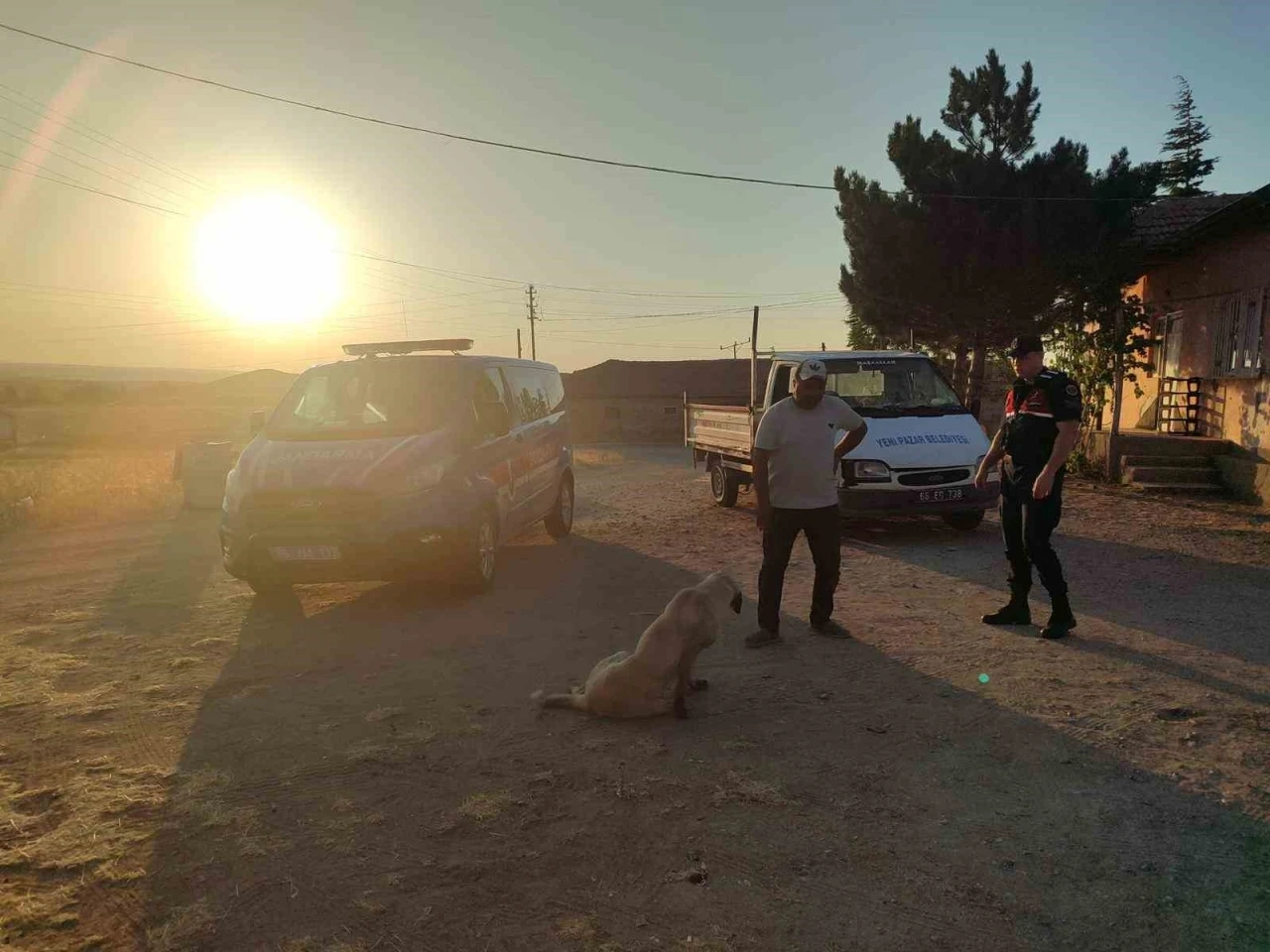 Başıboş köpek küçük çocuğu yaraladı, köpek barınağa götürüldü
