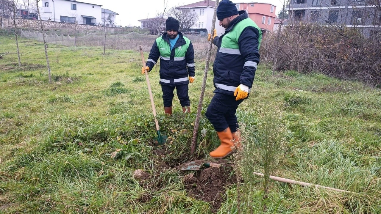 Başiskele&rsquo;de yeşil alan &ccedil;alışmaları devam ediyor
