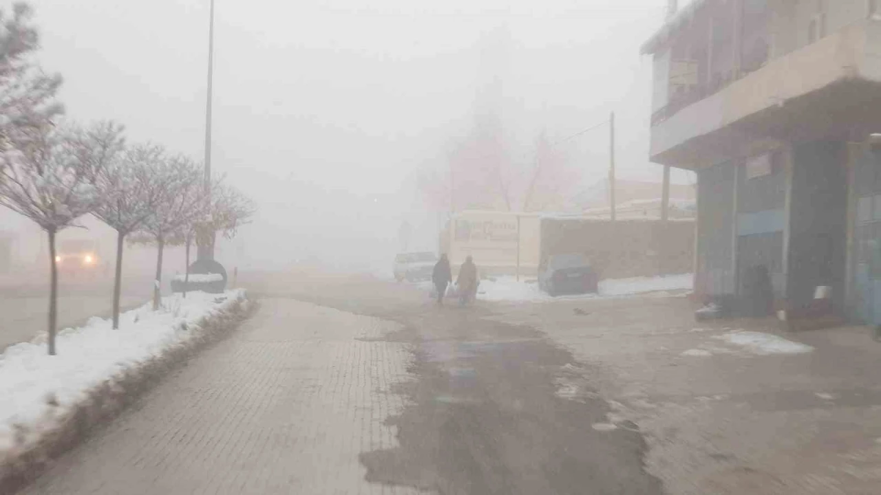 Başkale’de sis etkili oldu
