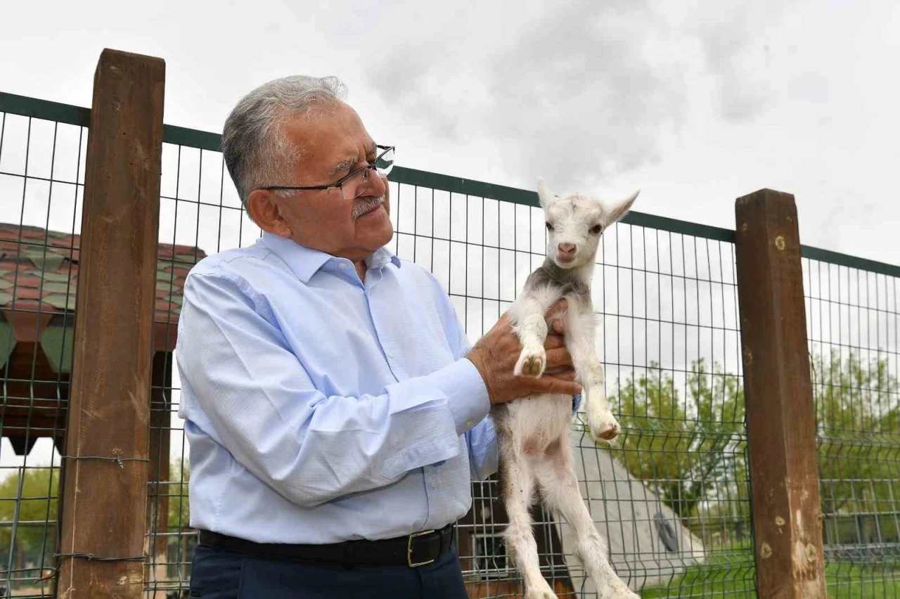 Başkan Büyükkılıç, hayvanat bahçesini ziyaret etti
