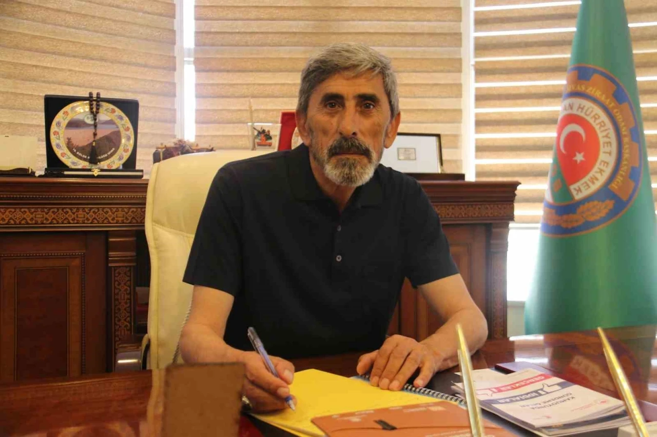 Başkan Çetindağ: &quot;Kene artışı biyolojik savaş olabilir&quot;
