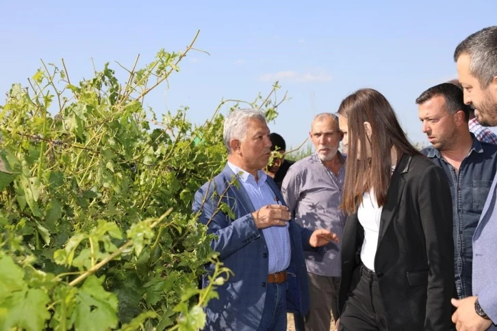 Başkan Durbay dolunun zarar verdiği alanları inceledi
