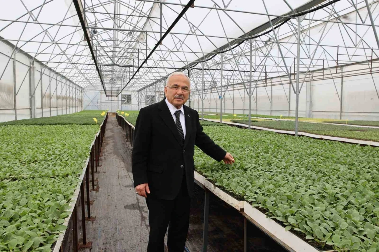 Başkan Güler: &quot;5 yılda kendi ürettiğimiz 4 milyon adet fideyi üreticilerimize dağıttık&quot;
