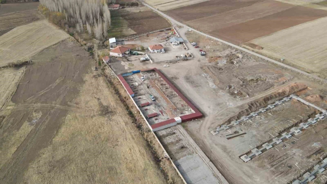 Başkan Metin’den sokak hayvanları için örnek hizmet
