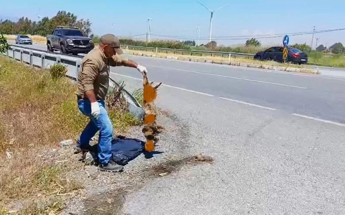 Başkan Sürücü: &quot;Çok nadir ve önemli bir türü daha kaybettik&quot;

