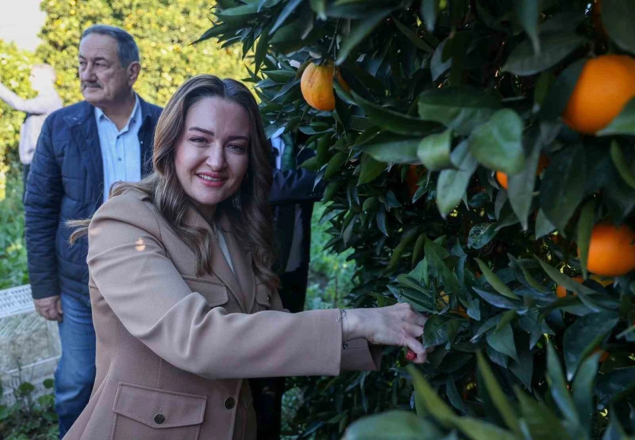 Başkan Vekili &Ouml;zdemir: "Finike&rsquo;nin ihtiya&ccedil;ları doğrultusunda &ccedil;alışmalarımızı yapıyoruz"
