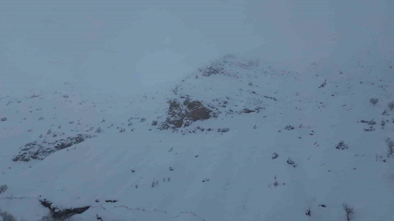 Batman&rsquo;da ağıla &ccedil;ığ d&uuml;şt&uuml;: 45 k&uuml;&ccedil;&uuml;kbaş hayvan telef oldu
