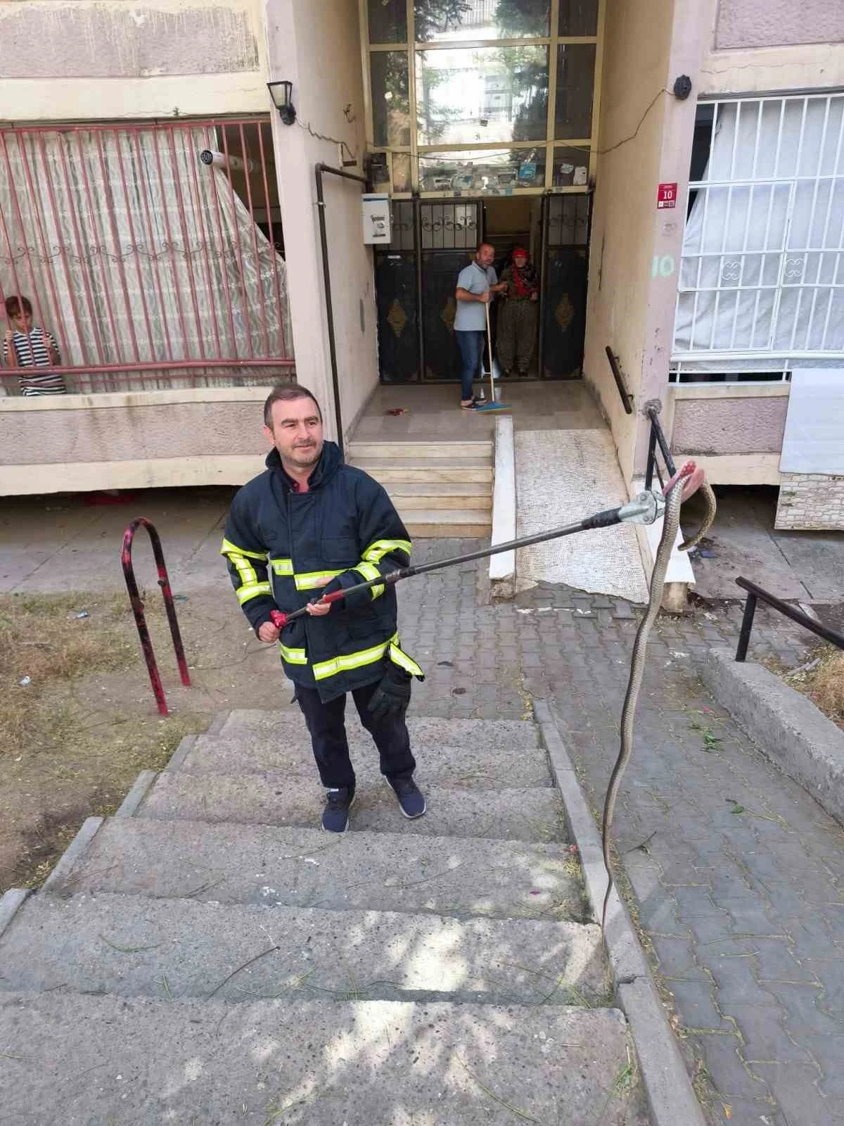 Batman’da bina girişinde bulunan yılan doğal yaşam alanına bırakıldı
