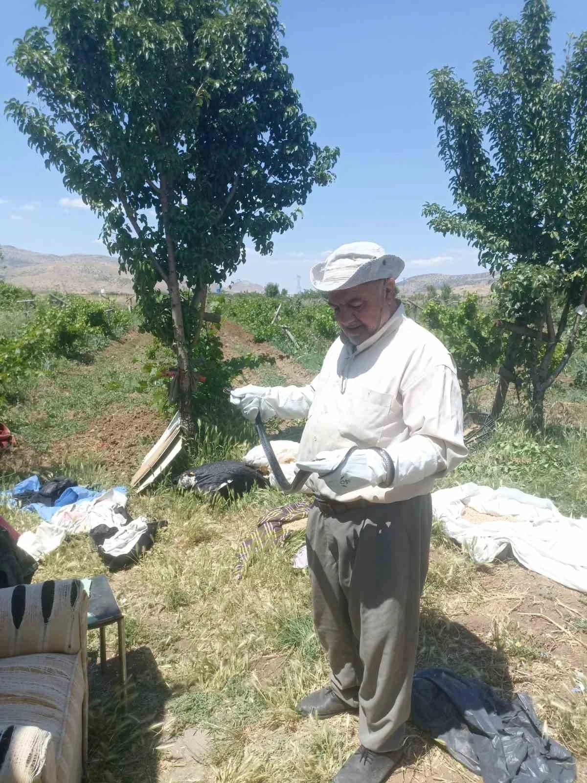 Batman&rsquo;da bir vatandaş yakaladığı yılanı doğaya bıraktı

