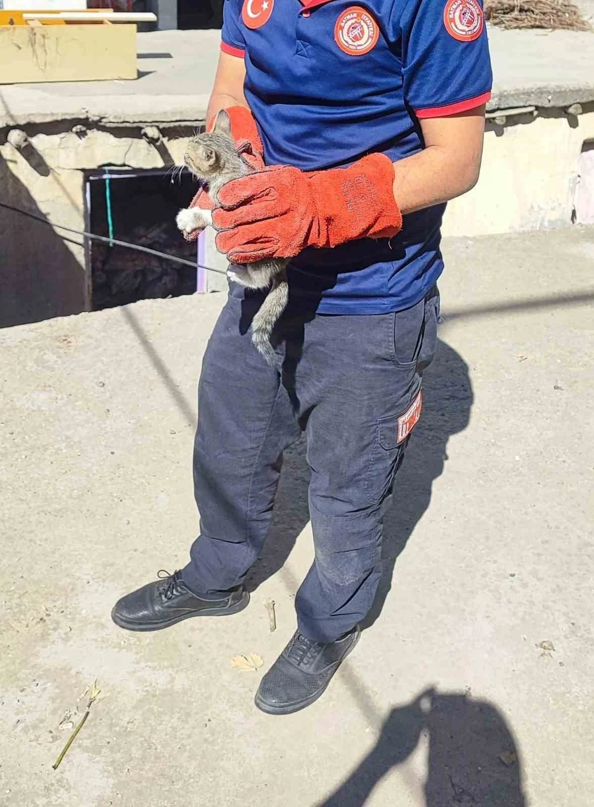 Batman’da duvar arasına sıkışan kediyi itfaiye kurtardı
