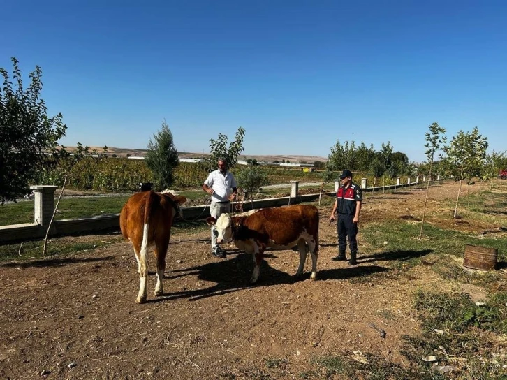Batman&rsquo;da hırsızlık zanlısı 4 kişi tutuklandı
