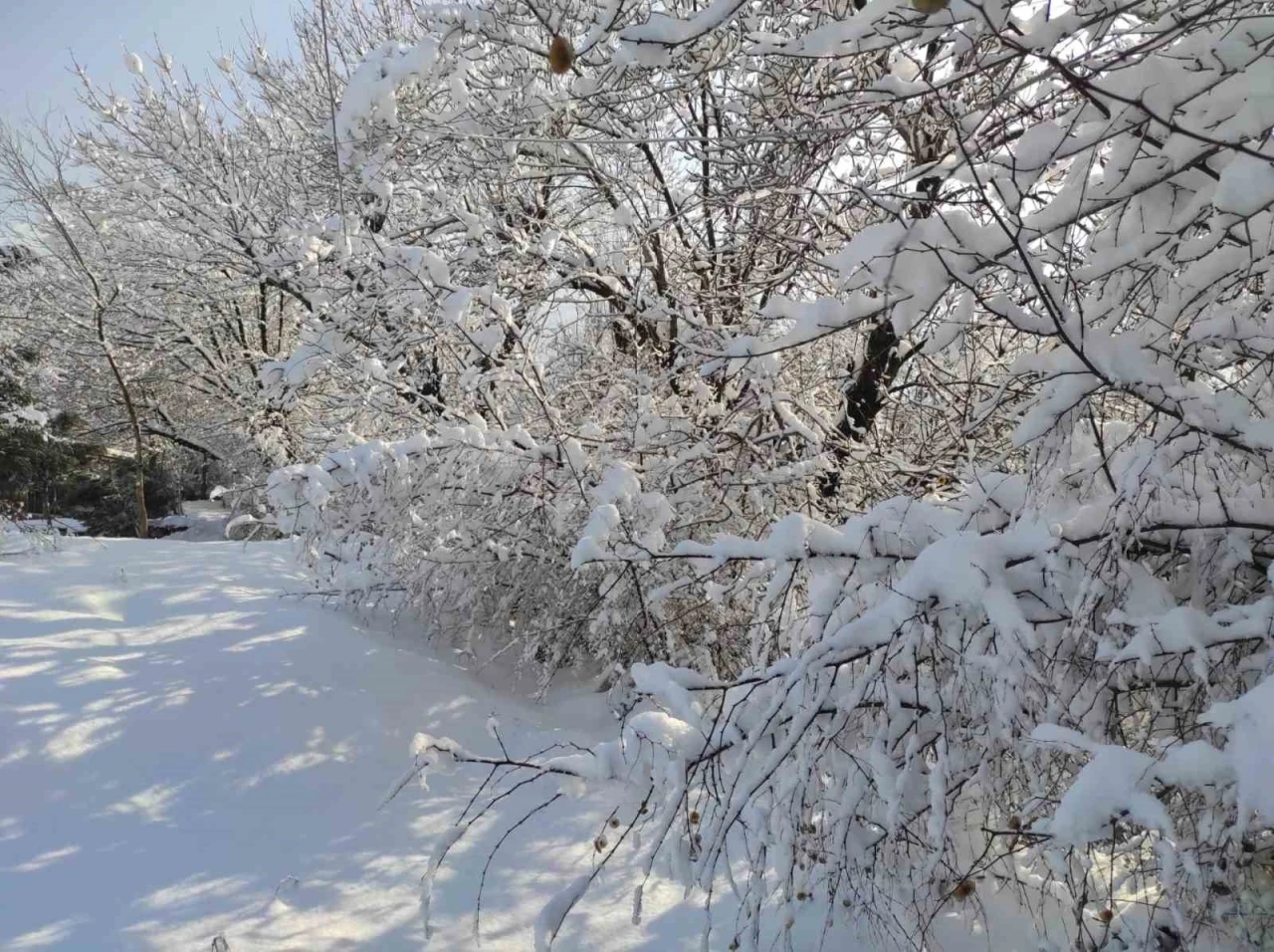 Batman&rsquo;da kar manzaraları

