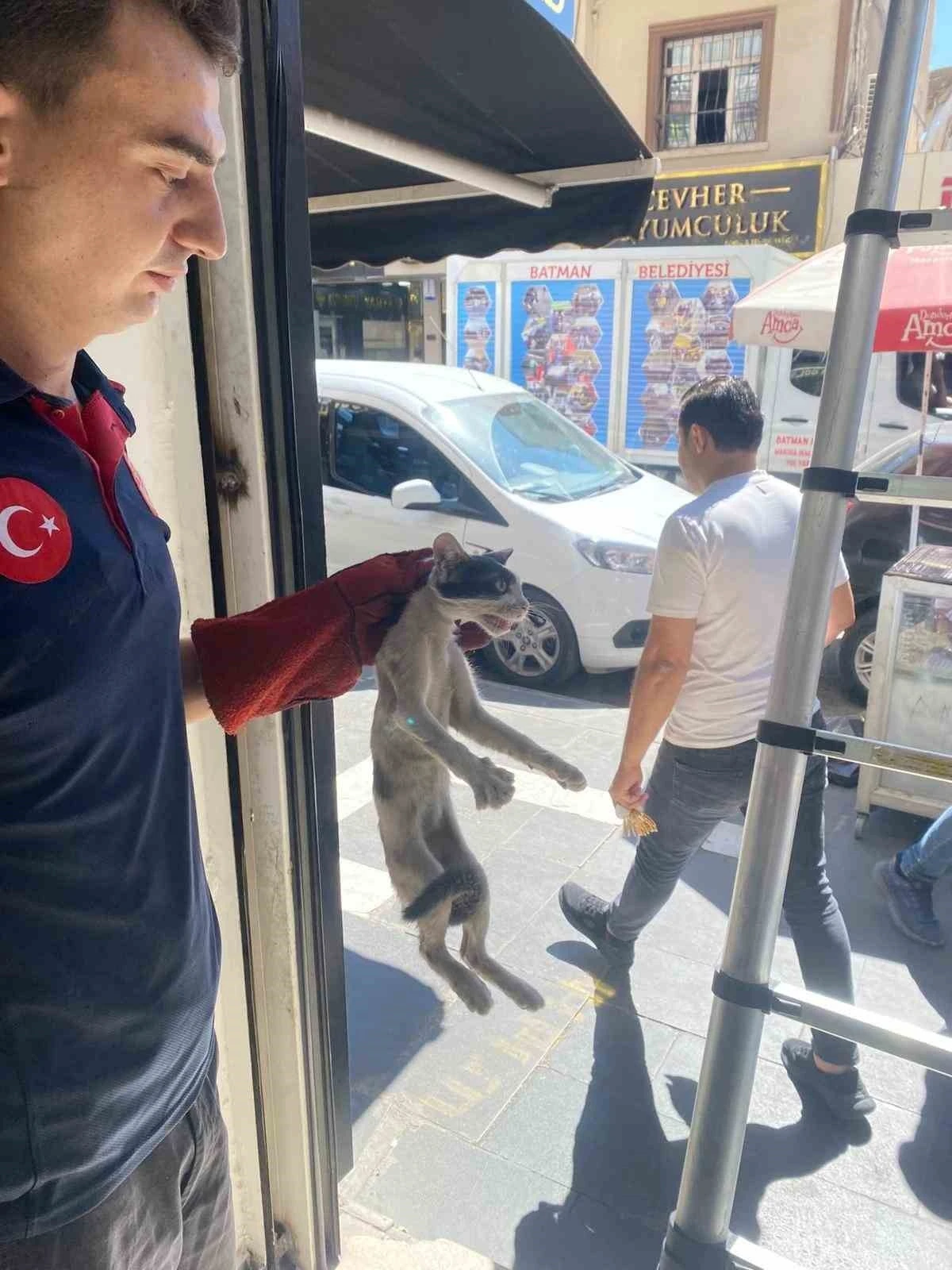Batman’da platform arasında sıkışan kedi kurtarıldı
