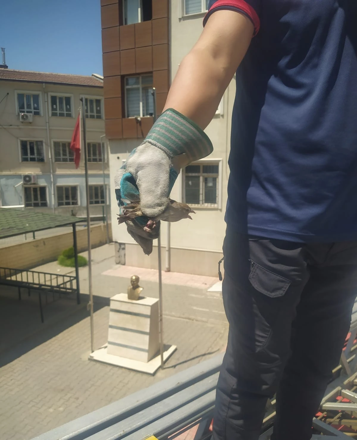 Batman’da tellere takılan kuşu itfaiye ekipleri kurtardı
