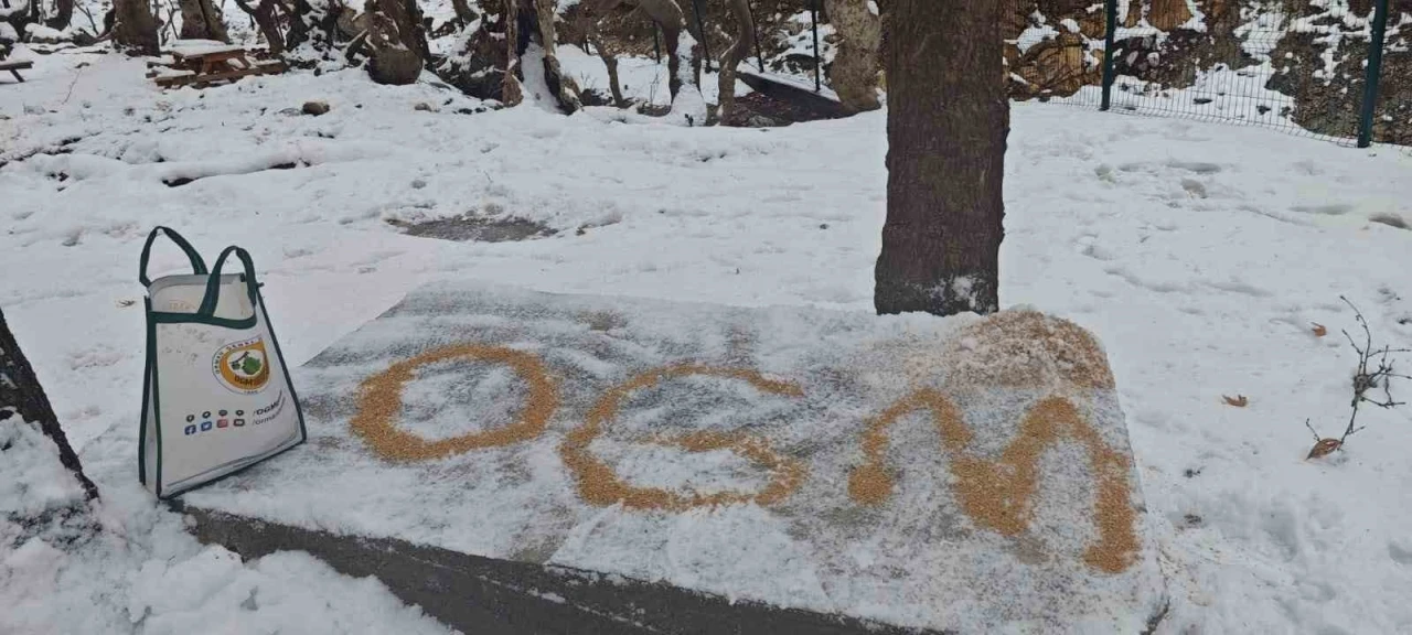 Batman&rsquo;da yaban hayatı unutulmadı
